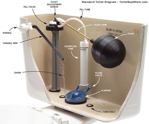 Cross section view of the inside of a toilet